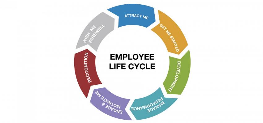 The stages of the employee lifecycle.
